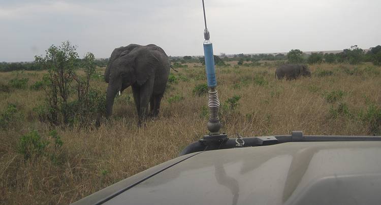 Masai Mara