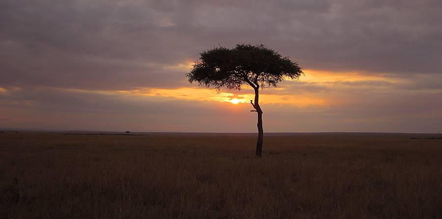 Masai Mara