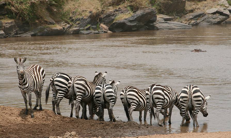 Mara River, Mara Fluß