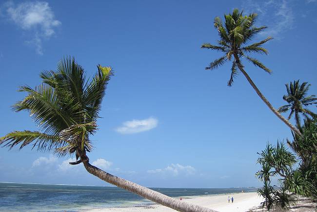 Shanzu Beach - Mombasa Nordküste