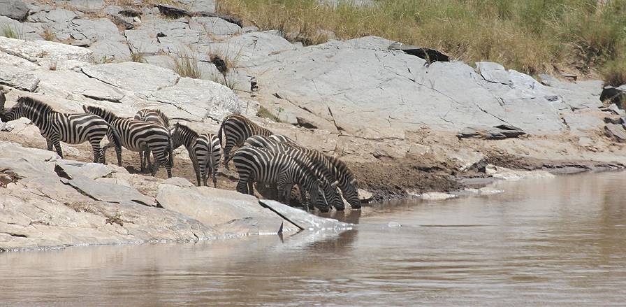 Masai Mara