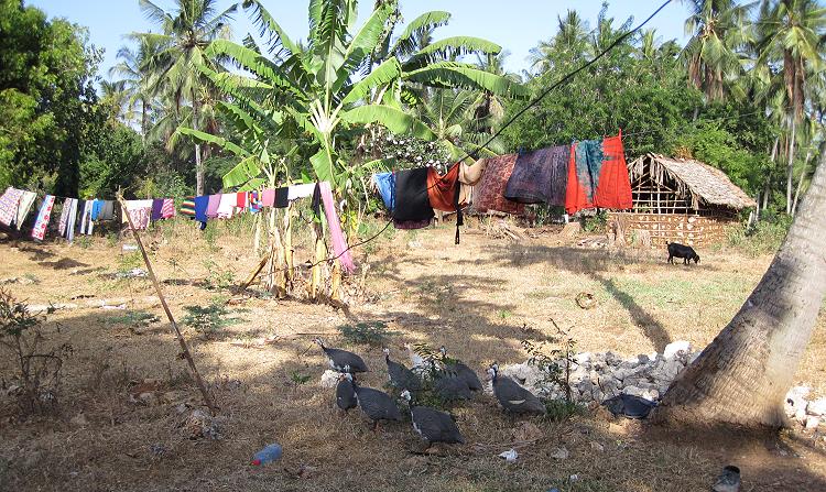 Boko Boko Guesthouse - Mombasa North Coast