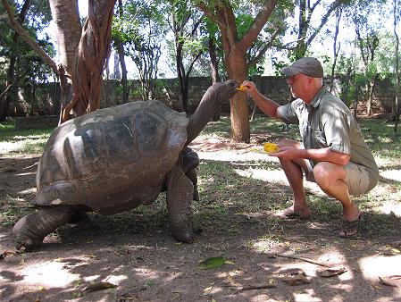 Boko Boko - Guesthouse, Kenya