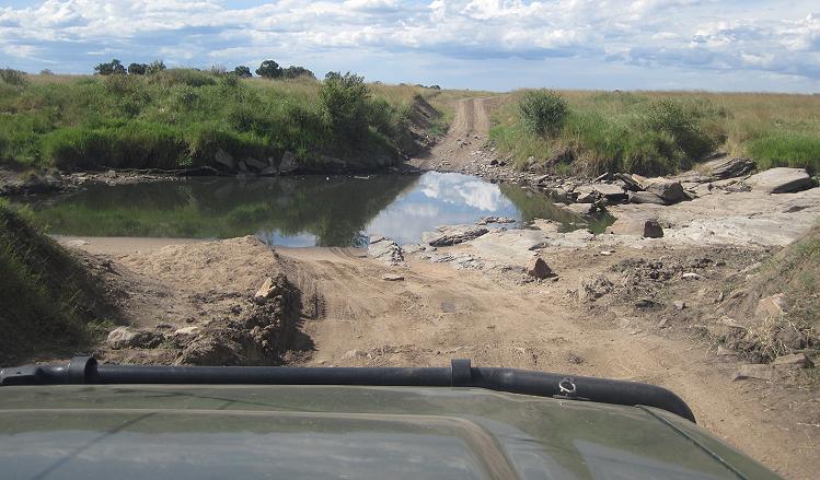 Double Crossing Masai Mara