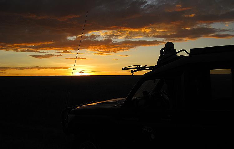 Mara Safari