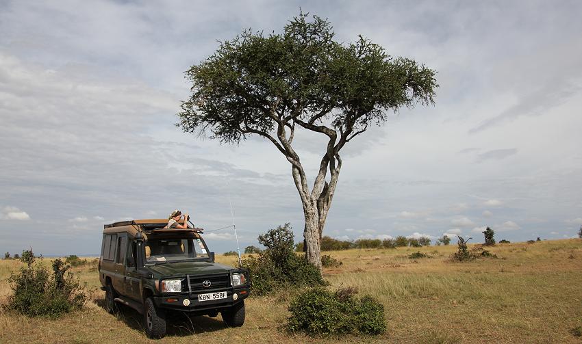 Game Drive - Masai Mara