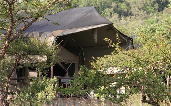 Kilima Safari Camp - Masai Mara