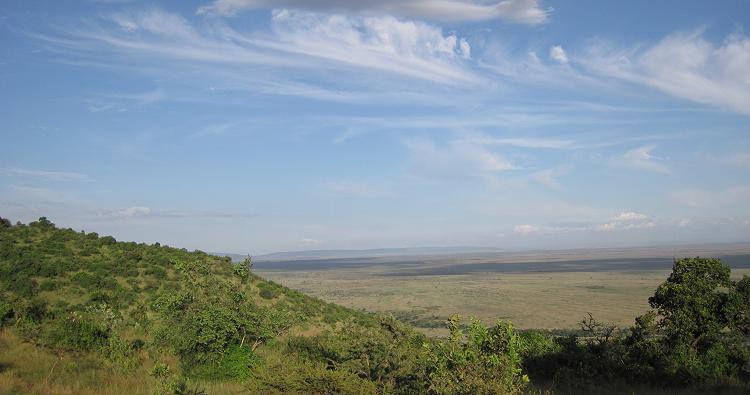 Kilima Safari Camp - Masai Mara