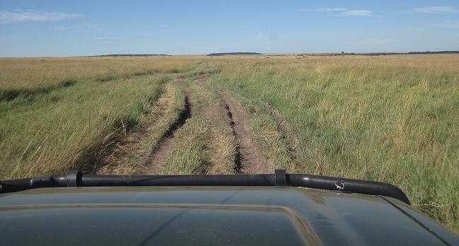 Game Drive - Masai Mara