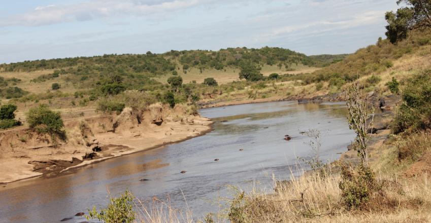 Wildlife am Mara Fluss