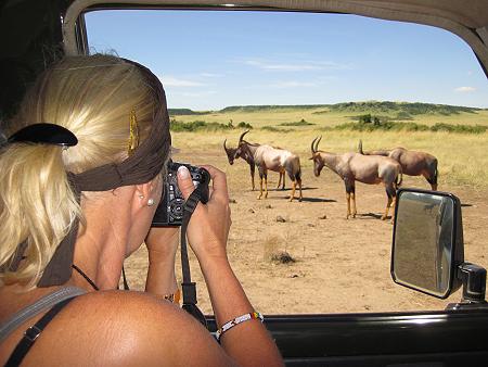 Game Drive - Masai Mara