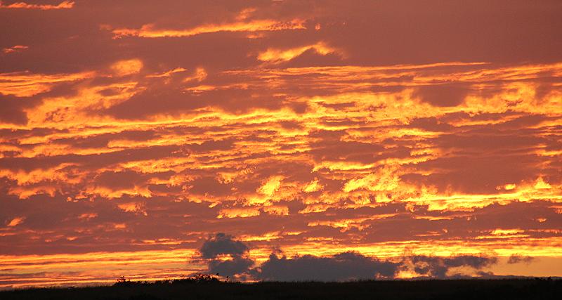 Sonnenaufgang - Masai Mara