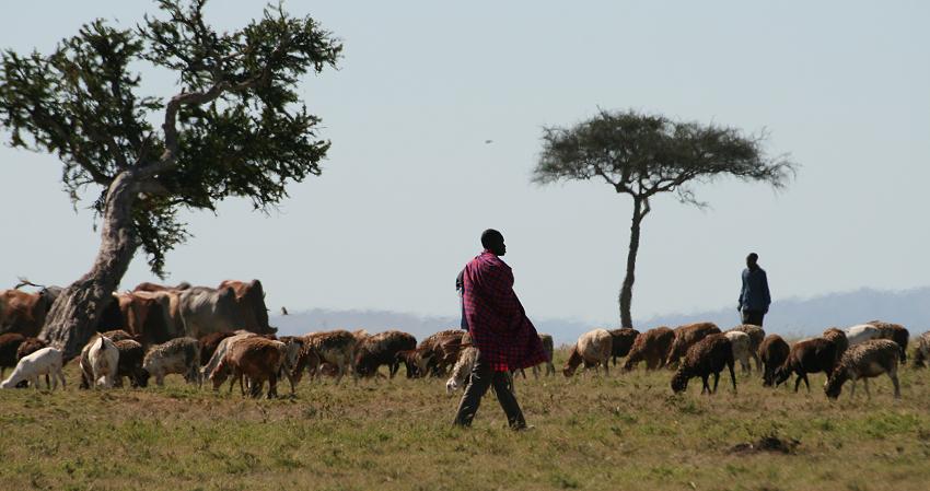 Masai Hirten - Masai Mara