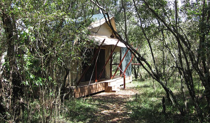 Mara Bush Camp Private Wing - Masai Mara