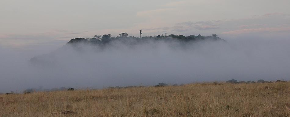 Mara Serena Lodge im Nebel