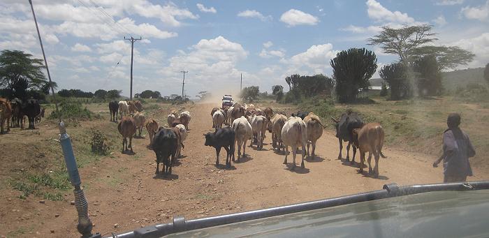 Unterwegs in die Masai Mara