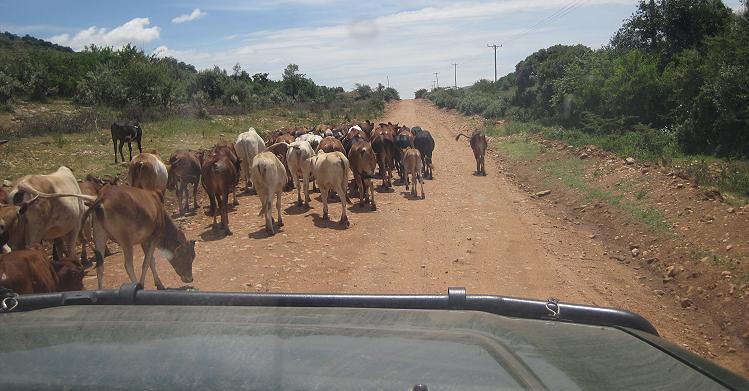 auf dem Weg nach Nairobi