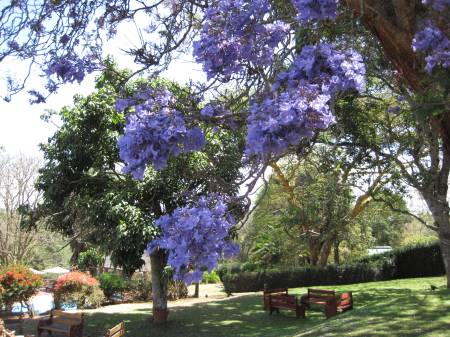 Aberdare Country Club - Aberdares