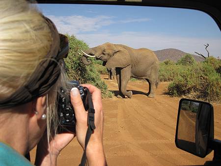 Samburu Reservat, Elefanten