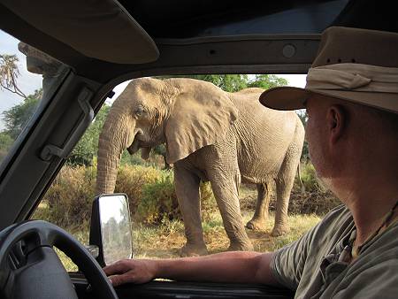 Samburu Reservat, Elefanten