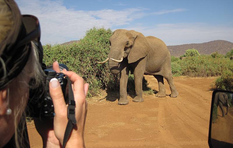 Samburu Reservat, Elefanten