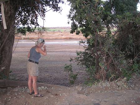 Lion King Safari Camp - Samburu