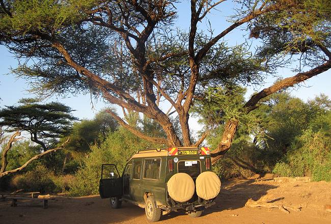 Lion King Safari Camp - Samburu