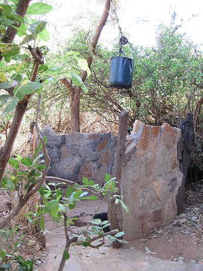 Lion King Safari Camp - Samburu