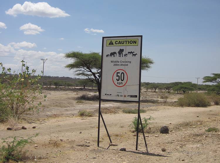 safari wangu