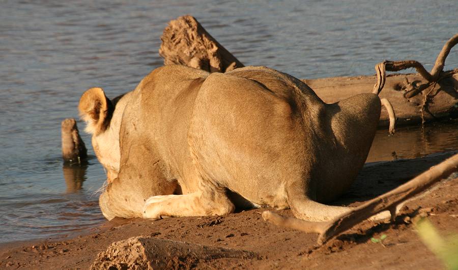 Samburu Reservat