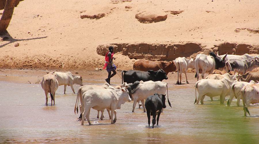 Samburu Reservat