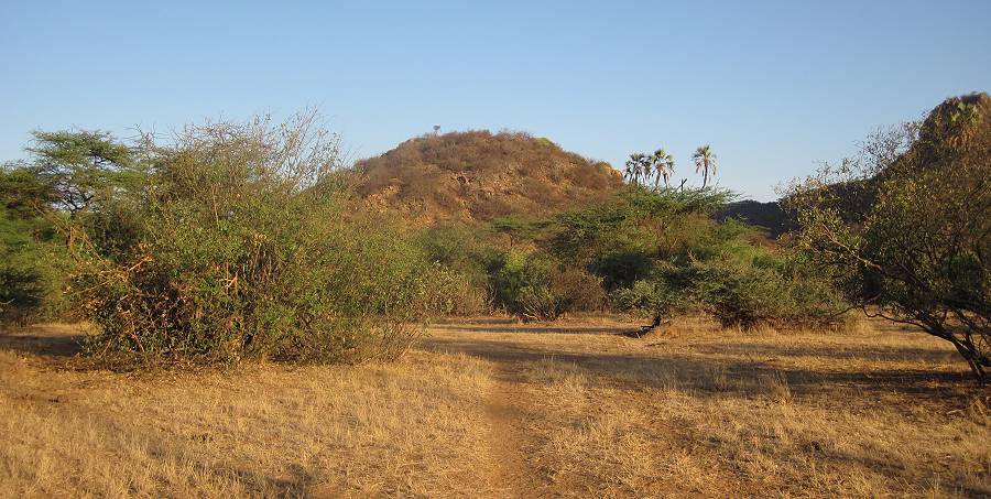 Samburu