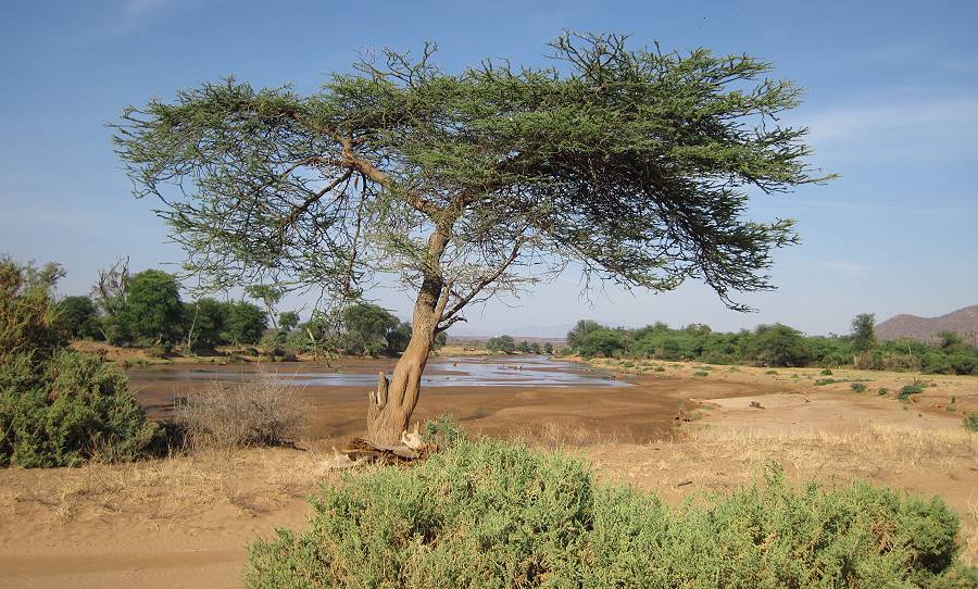 Samburu