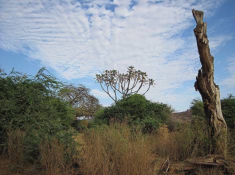 Samburu