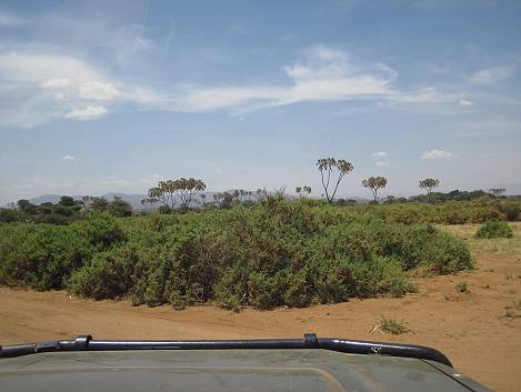 Samburu