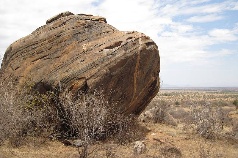 Samburu