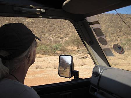 safari wangu