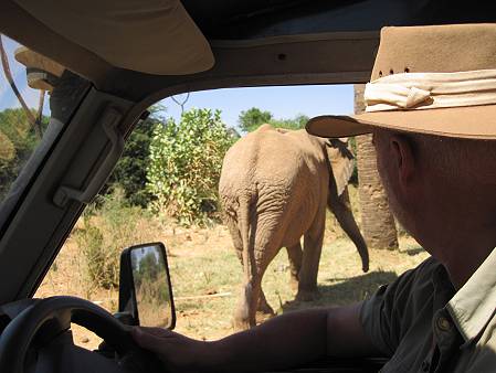 safari wangu