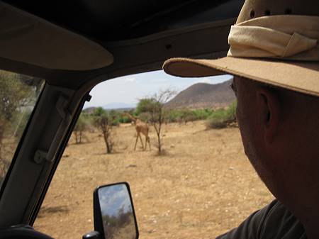 Lion King Safari Camp - Samburu