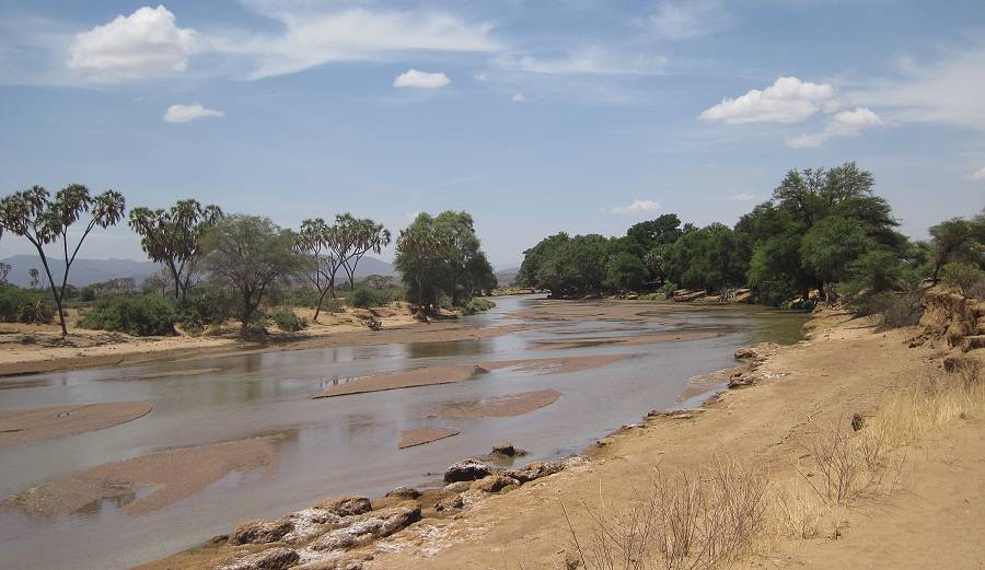 Lion King Safari Camp - Samburu