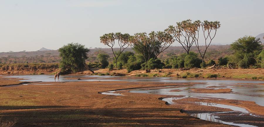 Samburu Reservat