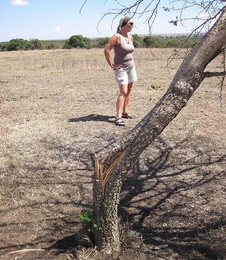 Sandai Farm - African Footprints