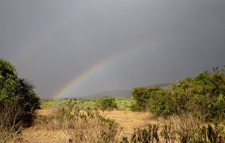 Sandai Farm - African Footprints