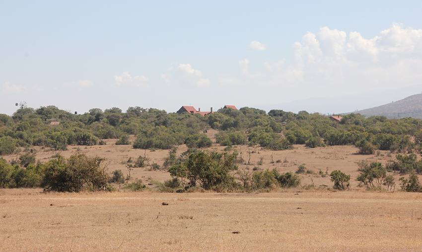 Sandai Farm - African Footprints
