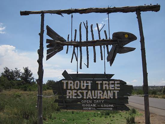 Trout Tree Restaurant - Kenya