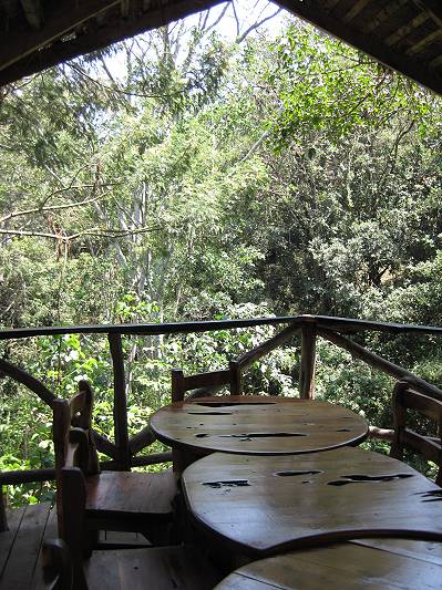 Trout Tree Restaurant - Kenya