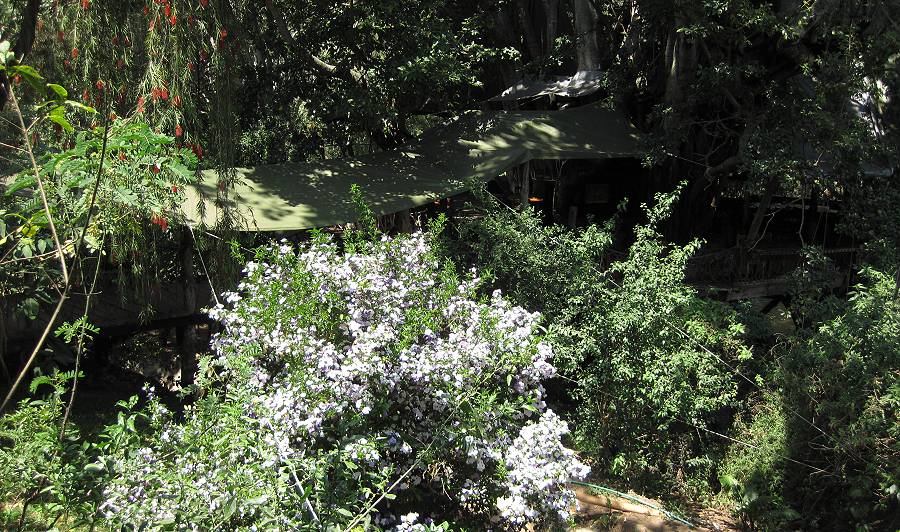 Trout Tree Restaurant - Kenya