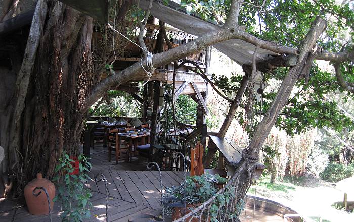 Trout Tree Restaurant - Kenya