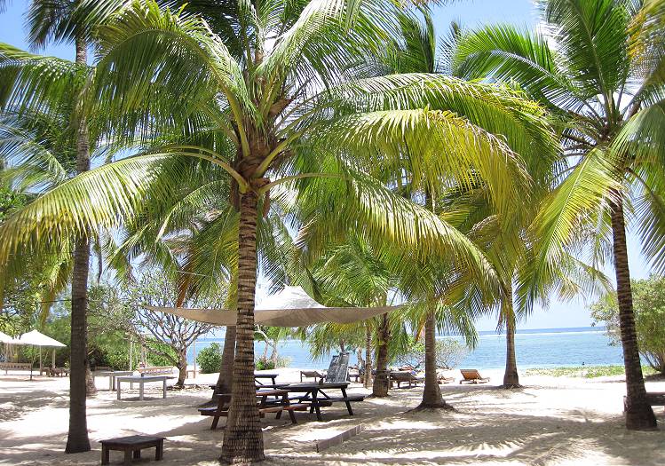 Vipingo Beach - Kenya Nordküste