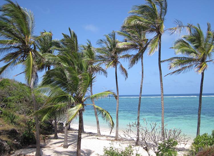 Vipingo Beach - Kenya Nordküste